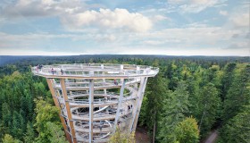 The Black Forest Treetop Walk